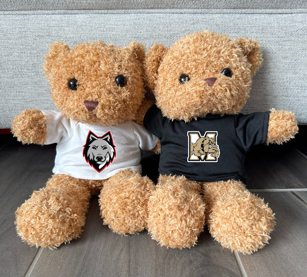 Brown Teddy Bear with Tee Shirt