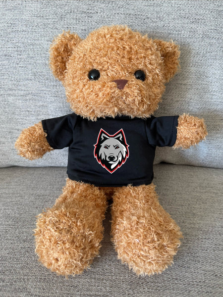 Brown Teddy Bear with Tee Shirt