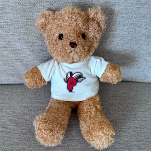 Brown Teddy Bear with Tee Shirt